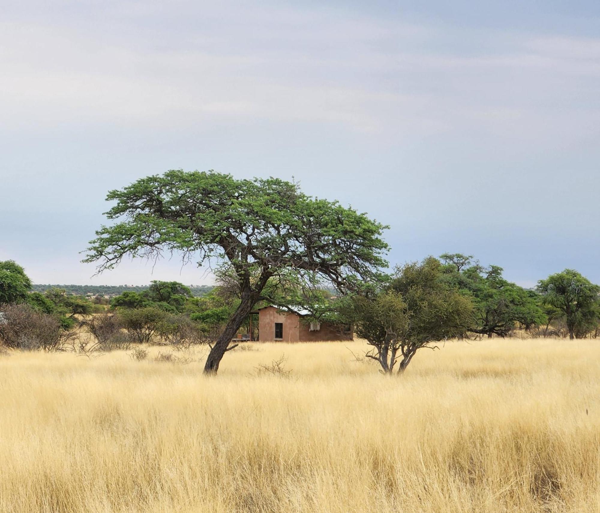 Jansen Kalahari Guest Farm Villa Hoachanas Luaran gambar